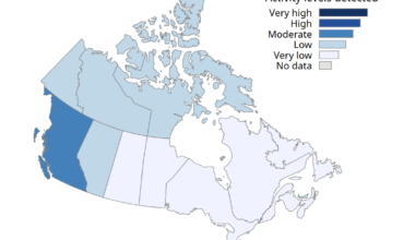 Flu season is here and B.C. is leading the way in infections