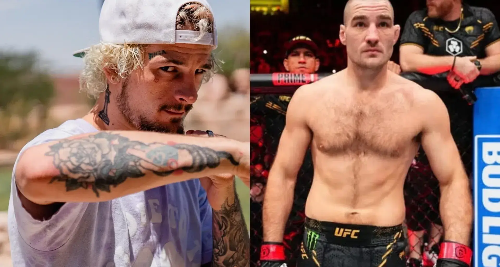 "Sugar" Sean O'Malley advises those who want to get rich fighting in UFC, amid Sean Strickland pay dispute