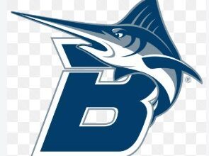Batten women’s soccer team improves to 8-0-2 with shutout victory – The Virginian-Pilot