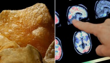 Canadians who eat ultra-processed foods at risk of developing brain damage and dementia: study - CTV News