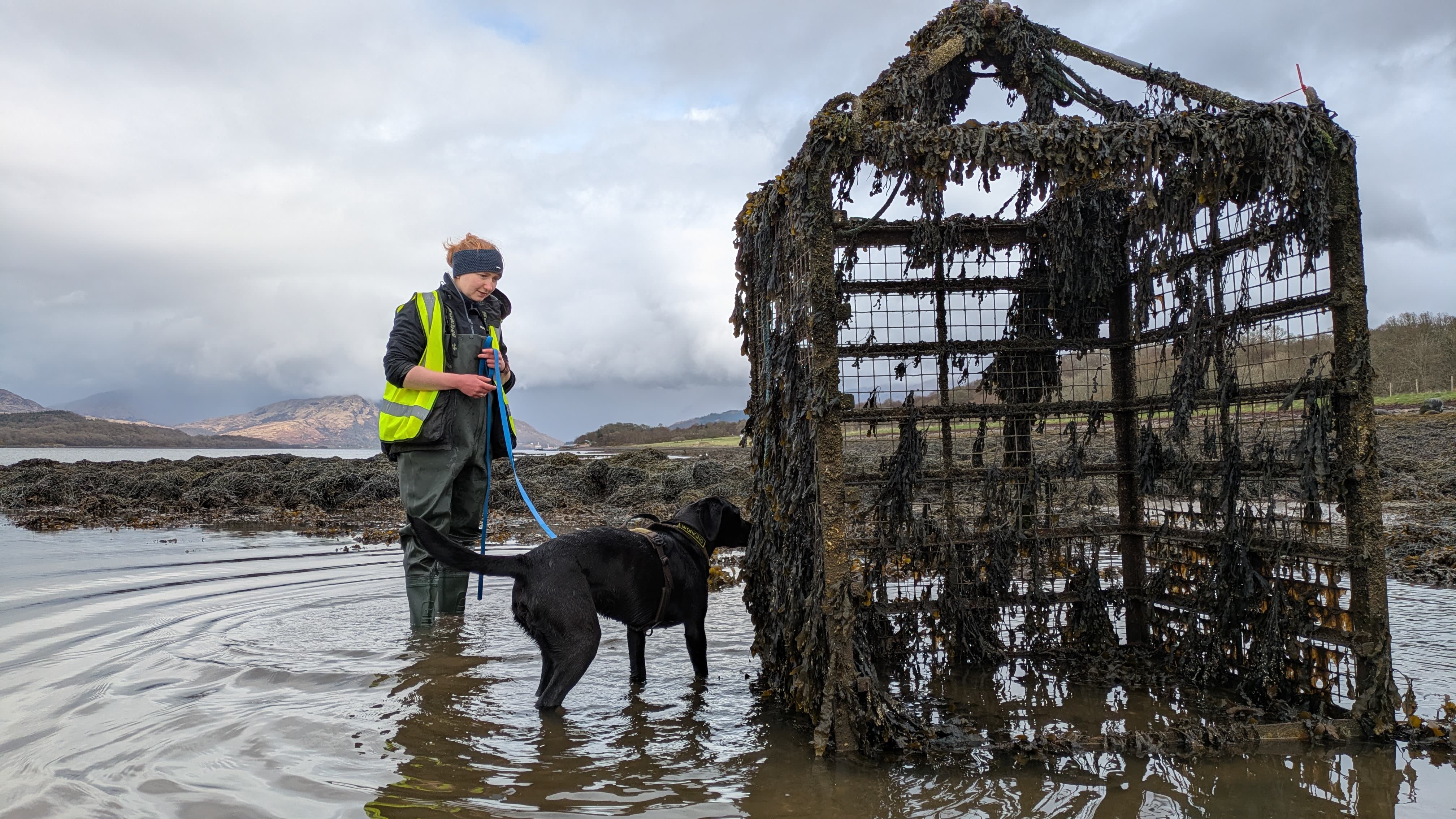 Sgiath can recognise the scent of the sea vomit creatures among other marine life