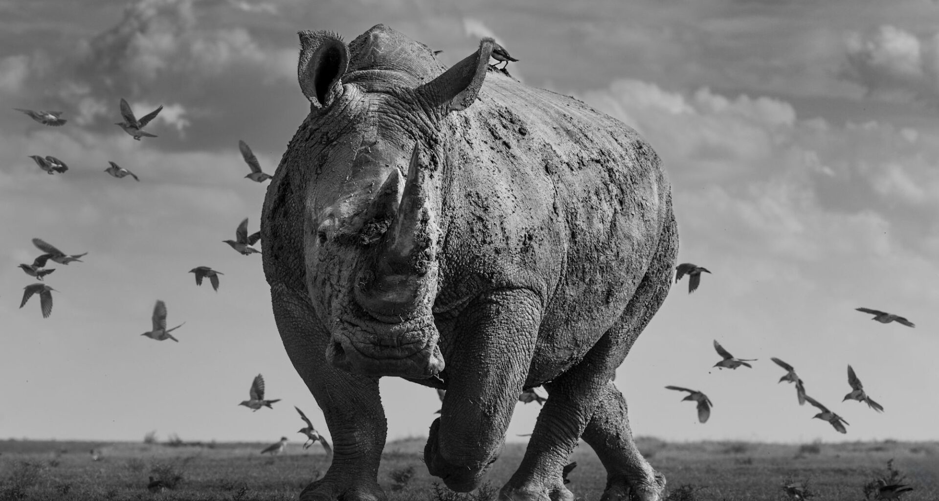 Fancy trying your hand at judging a photography competition? Cast your vote in this major monochrome contest
