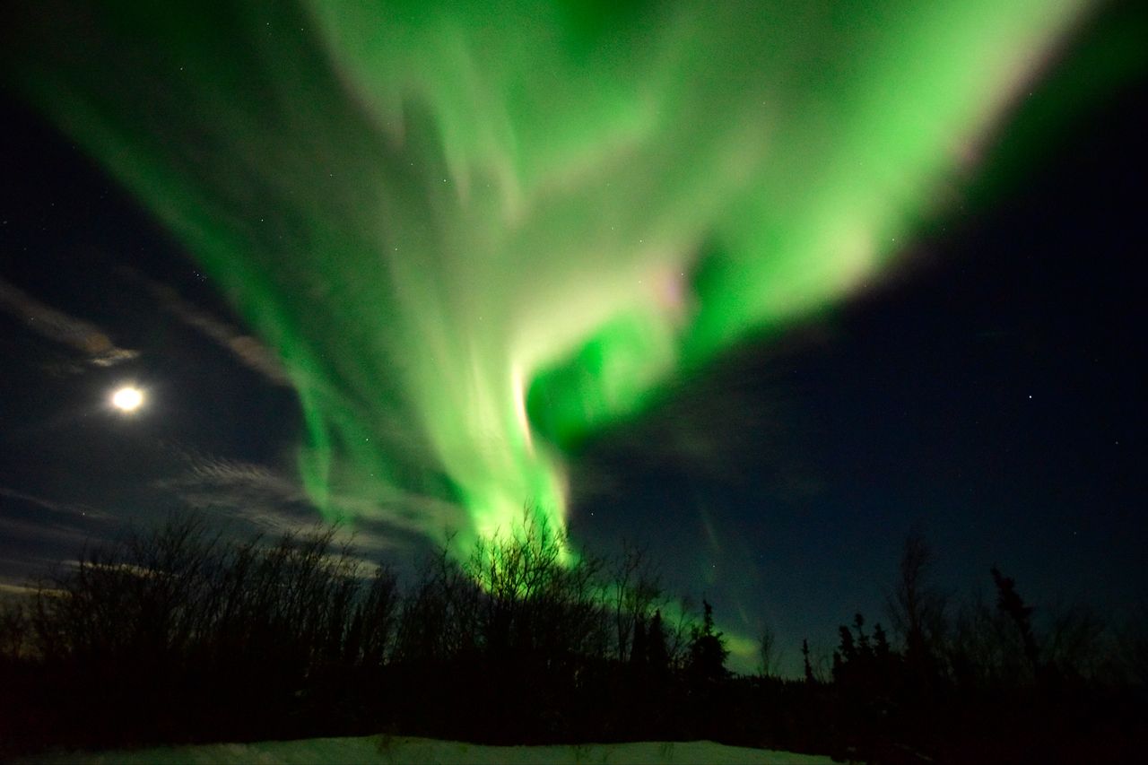 Northern LightsCredit: Lance King/Getty