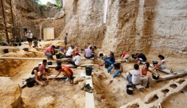 A Wooden Club and Other Rare Finds Reveal 'Invisible' Side of Neanderthal Life