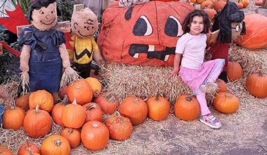 Paid admission again for Art’s annual Scarecrow Stroll