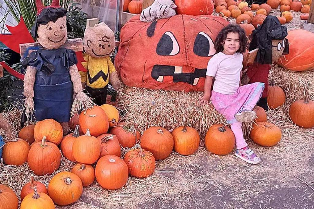 Paid admission again for Art’s annual Scarecrow Stroll