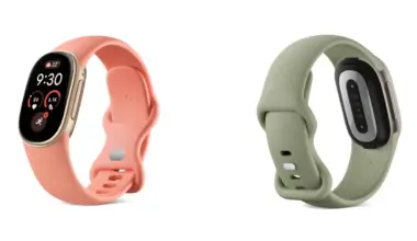 Google unveils Fitbit Edge with a replaceable battery — newsletter story image