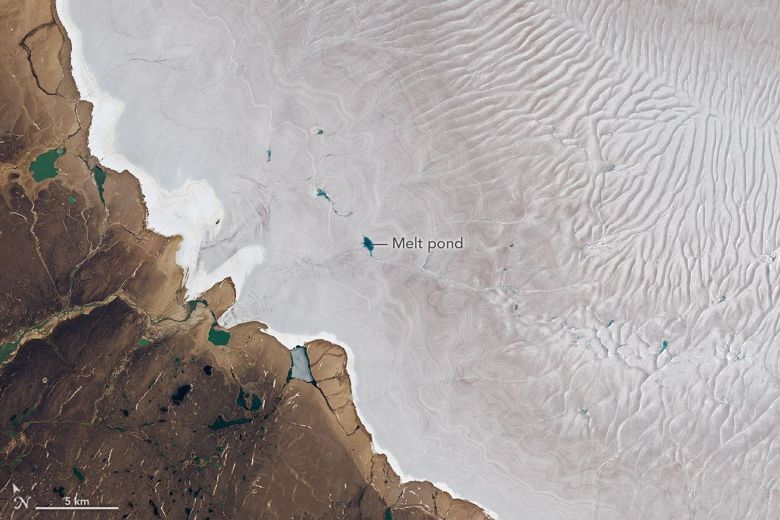 Meltwater ponds on the surface of the Barnes Ice Cap's southwest side in July 12, 2026.