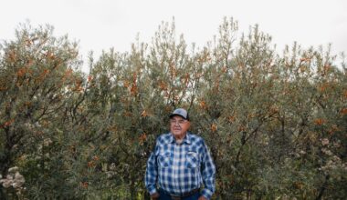 Why this Canadian farmer is letting his land grow wild