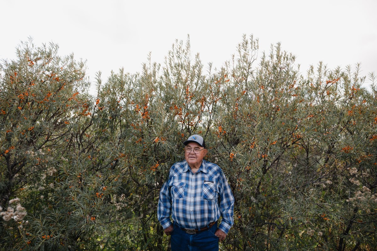 Why this Canadian farmer is letting his land grow wild