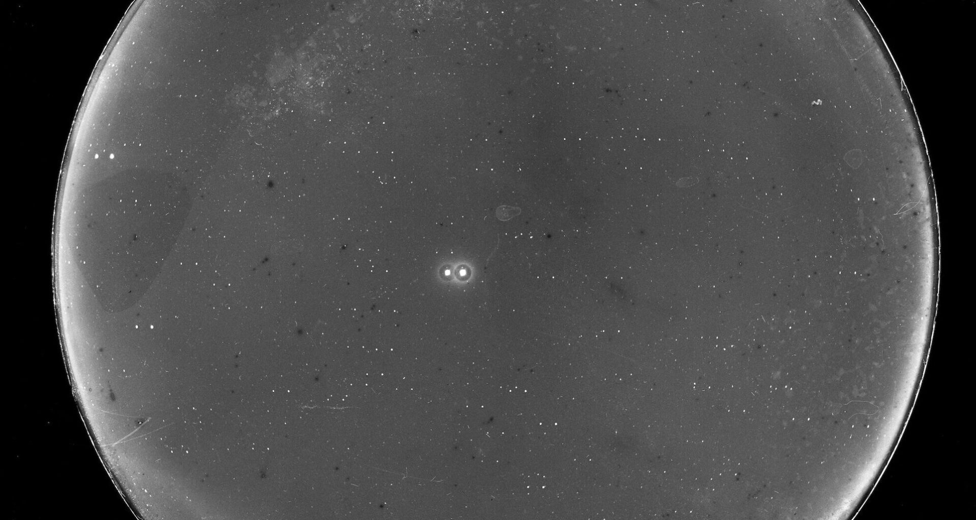 170-year-old search narrows the hunt for planets around nearby binary system 70 Ophiuchi
