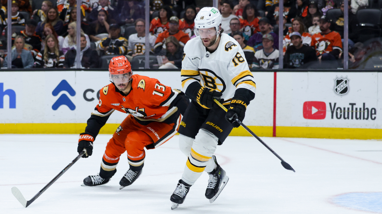 Lindholm sparks streaking Bruins' comeback win over Ducks