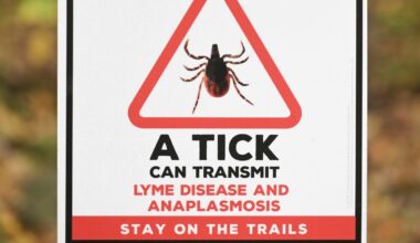 N.S. pharmacists reducing strain on emergency rooms by treating Lyme disease