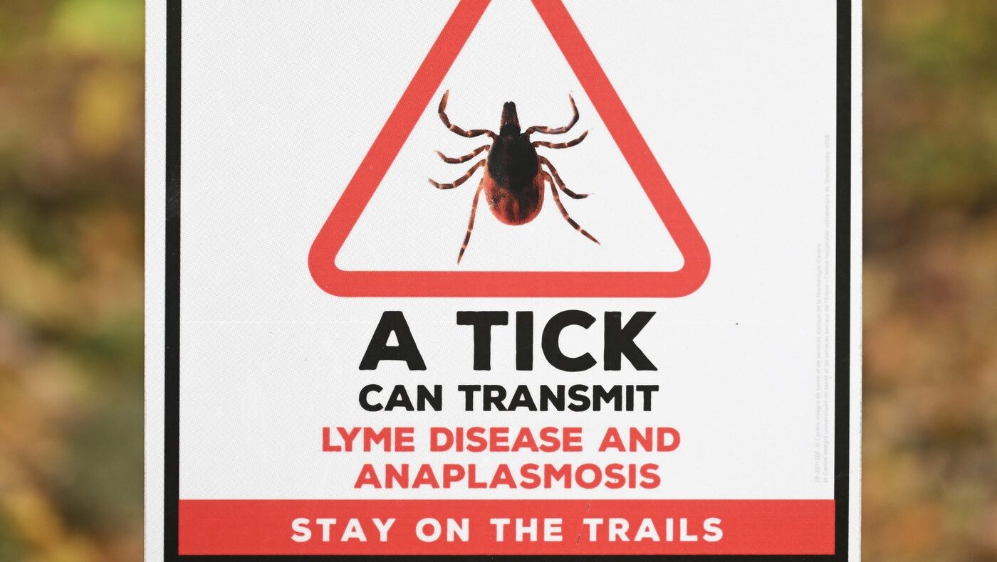 N.S. pharmacists reducing strain on emergency rooms by treating Lyme disease