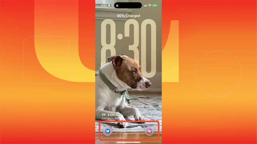Different colorful widgets outlined on an iOS lock screen with a background of a dog sitting on the floor.