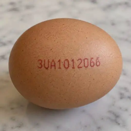 Warning issued about eggs contaminated with salmonella, found in some kosher shops