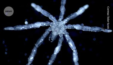 Give me the good news: four science stories to brighten your day