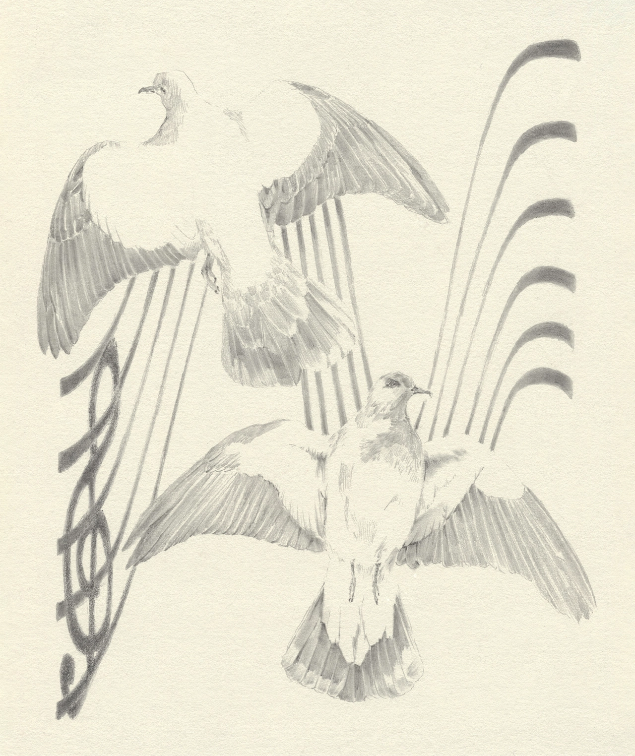 Pencil sketch of three birds in flight with detailed wing feathers and curved plant stems on a cream background