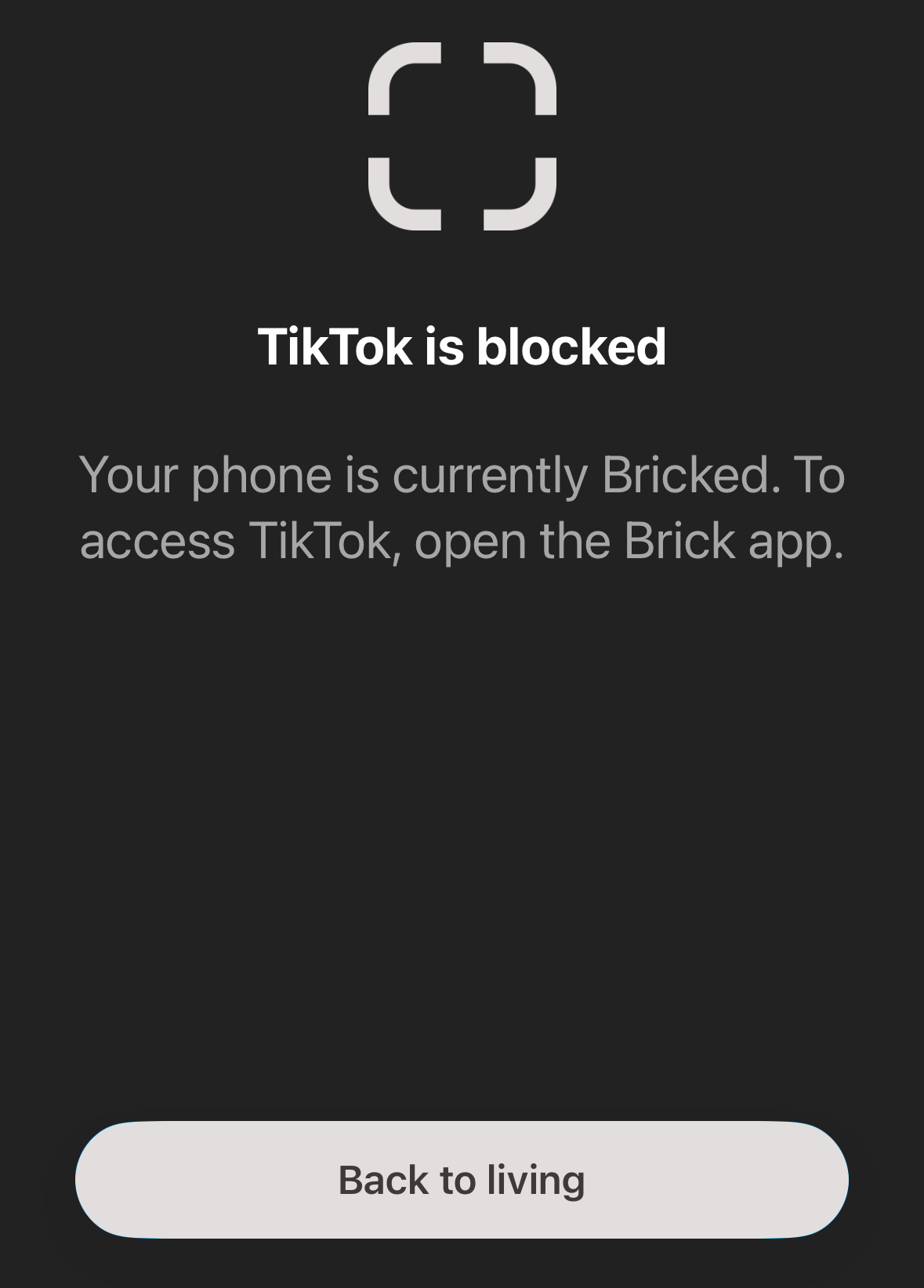 A page showing that TikTok has been blocked by Brick.