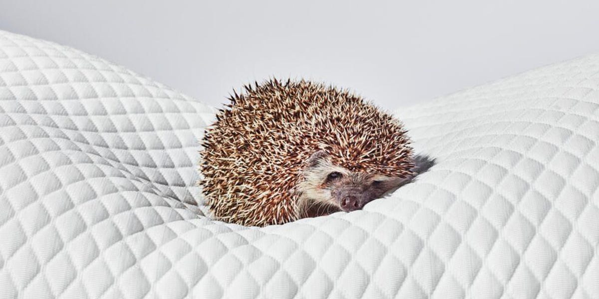 Can't Fit in a Workout? 10 Minutes of Movement May Still Help Your Sleep