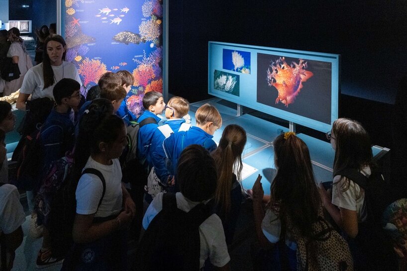 ‘we are all marine animals, we just forgot’: photographer enzo barracco at the ocean&climate village - 2
