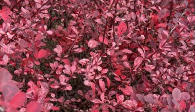 THROUGH YOUR LENS: Fall for the beauty