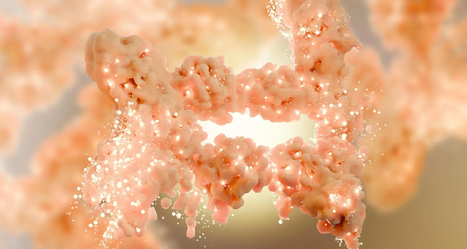 Scientists discover a hidden switch that burns fat and blocks new fat cells