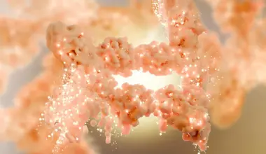 Scientists discover a hidden switch that burns fat and blocks new fat cells