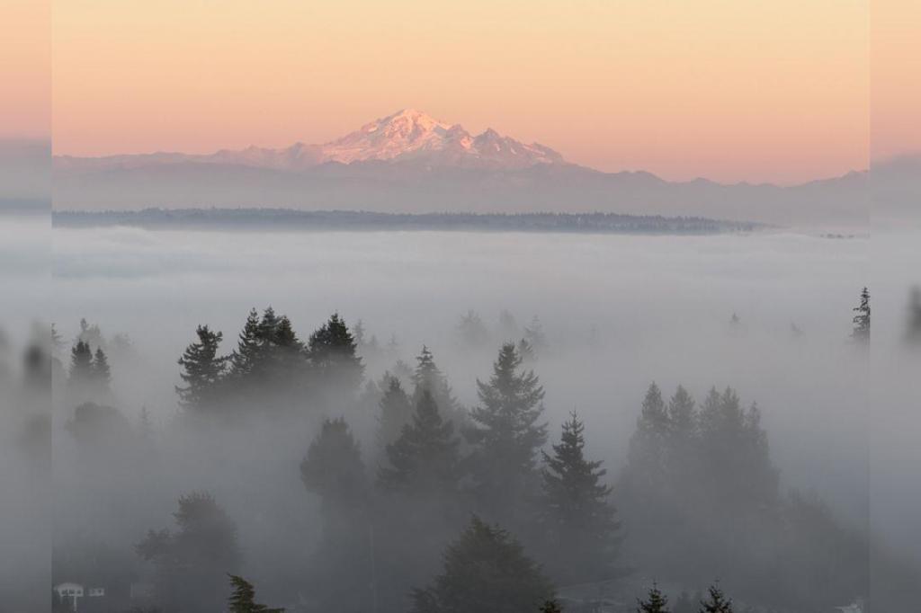 THROUGH YOUR LENS: Into the fog