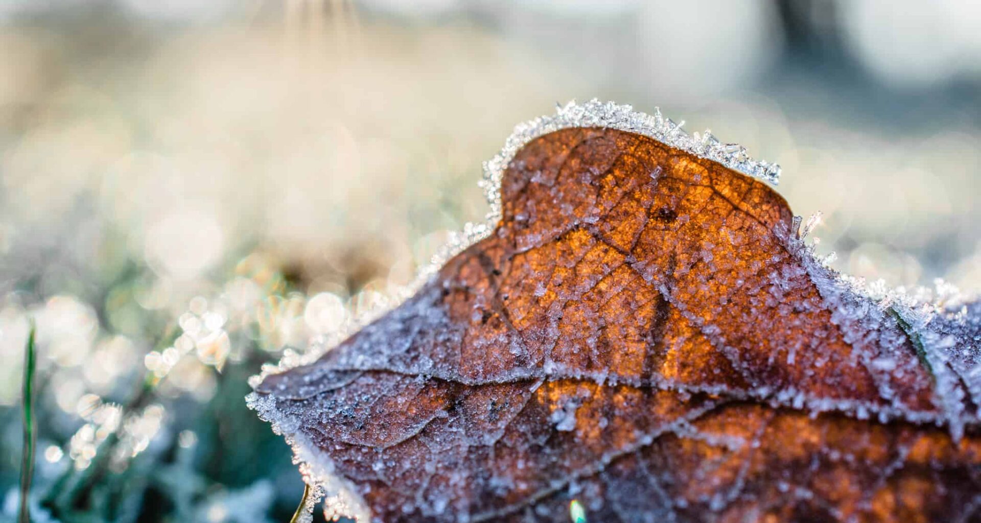 Weather alert again issued for Mississauga and Brampton