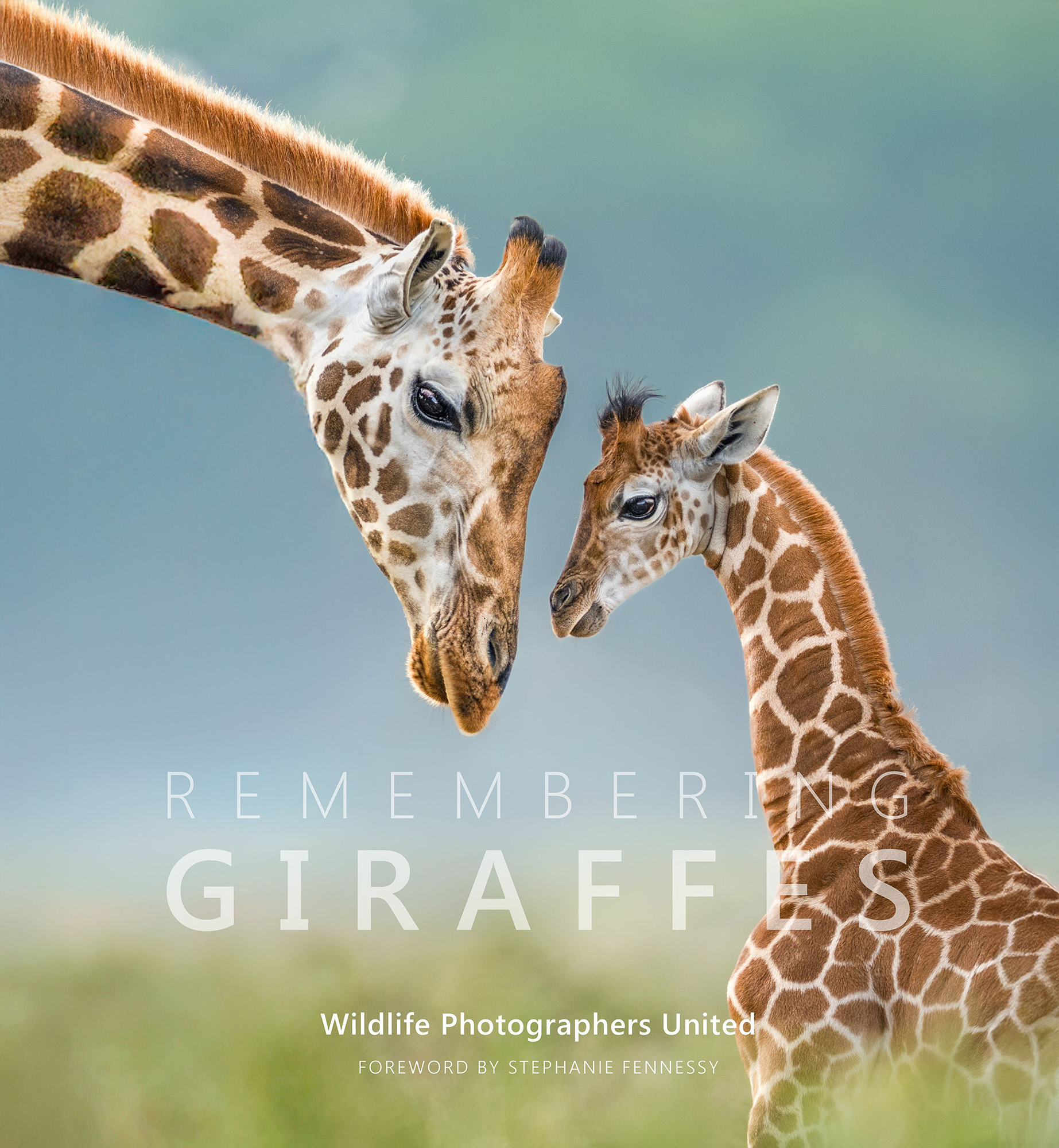 Front cover photograph of the Remembering Giraffes book, featuring a photograph of a giraffe by wildlife photographer Gurcharan Roopra. The book is on sale now, via https://buyrememberingwildlife.com/
