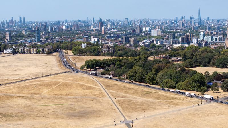 Brutal summer heat killed more than 50,000 in Europe’s cities