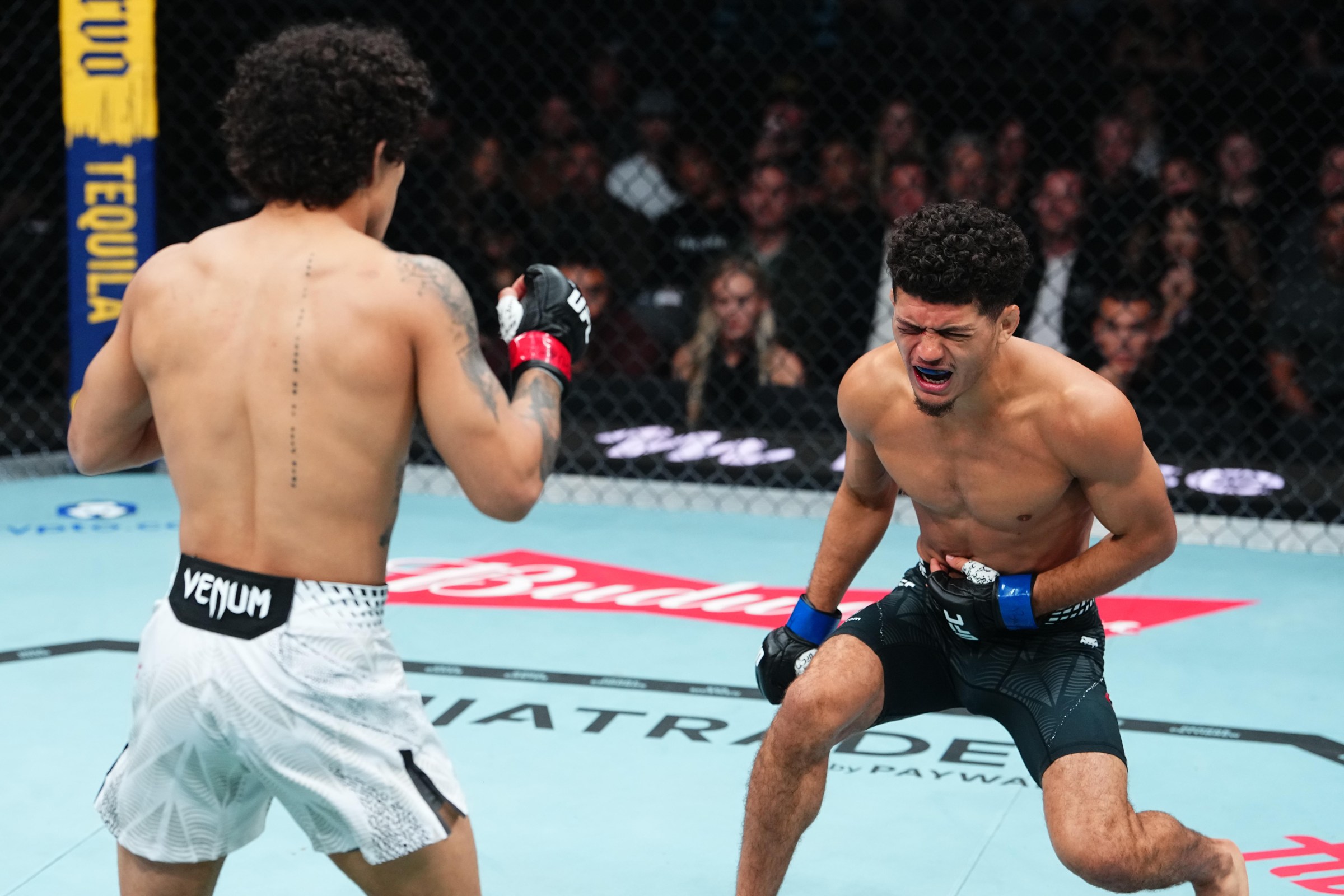 SALT LAKE CITY, UTAH - OCTOBER 03: Alden Coria reacts after a kick from Imanol Rodriguez of Mexico in a flyweight fight during the UFC 332 event at Delta Center on October 03, 2026 in Salt Lake City, Utah. (Photo by Jeff Bottari/Zuffa LLC)