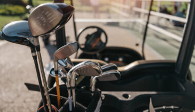 Golf clubs in the back of a cart.