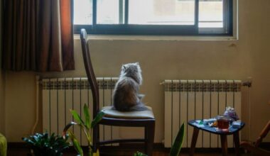 New electricity rule affects Croatian households this winter