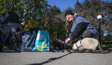 Homeless because of her cats: Woman denied Ottawa shelter space