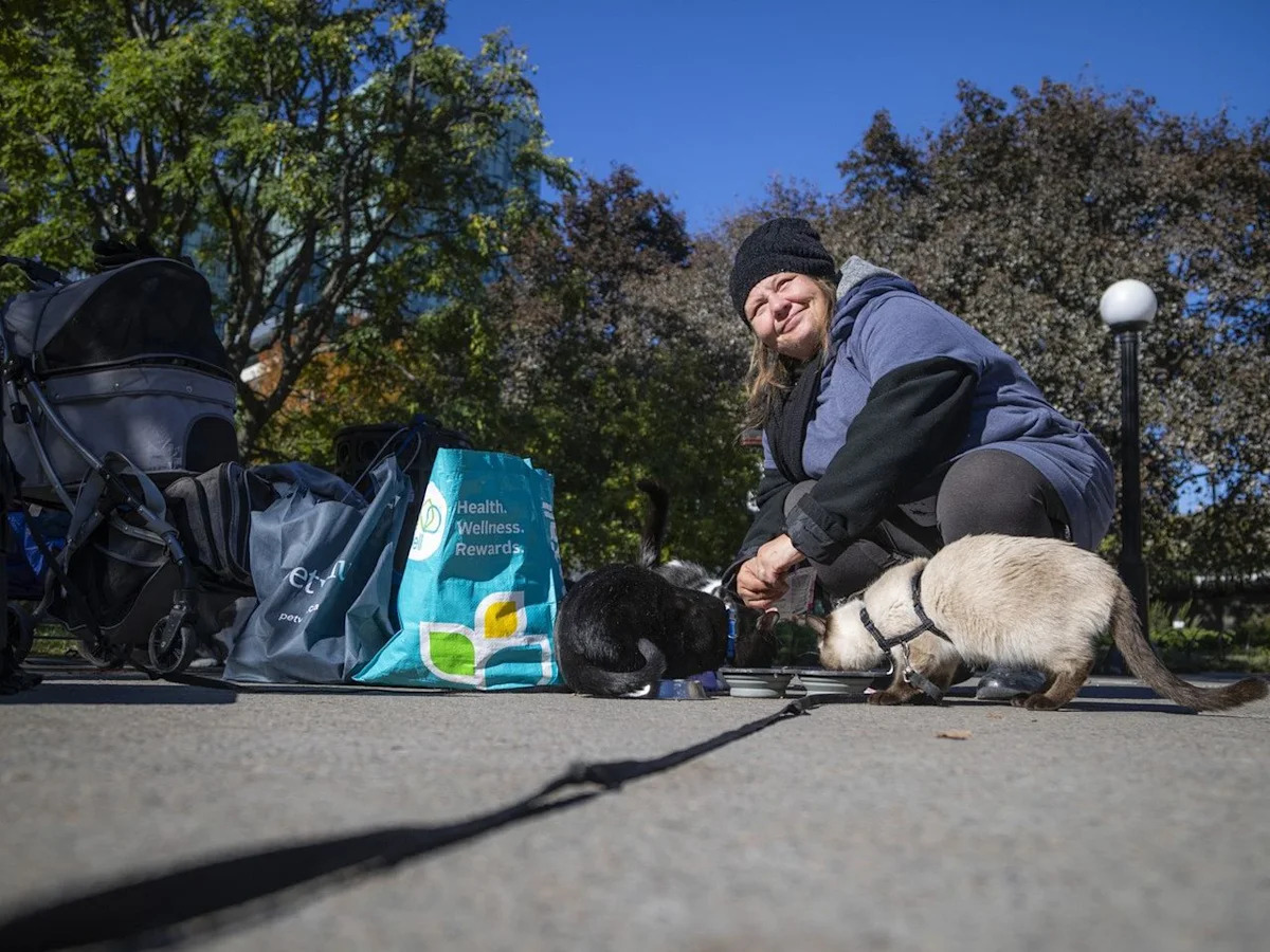 Homeless because of her cats: Woman denied Ottawa shelter space