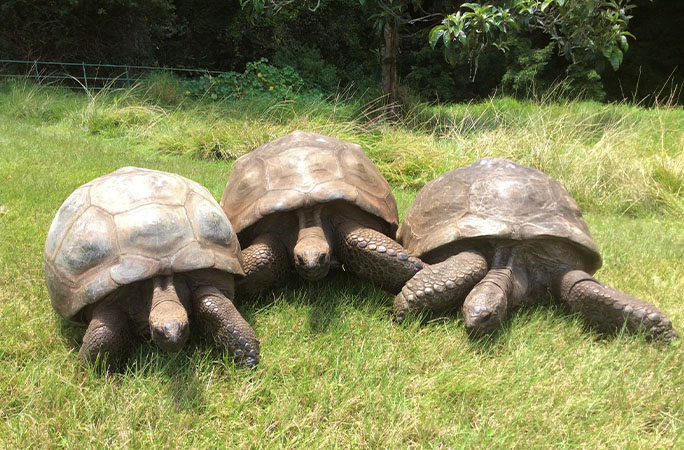 From left, Emma, David and Jonathan
