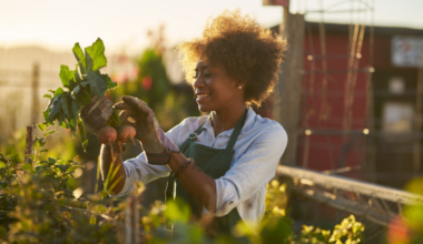 Synchrotron imaging detects hidden lung risk for female farmers