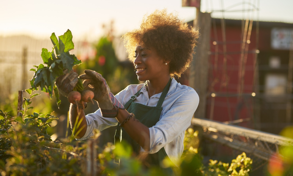 Synchrotron imaging detects hidden lung risk for female farmers