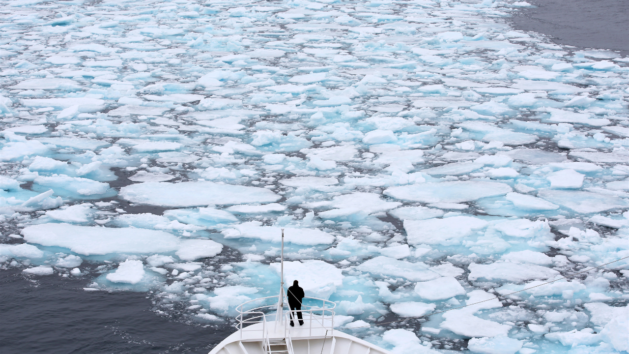 What does this mean for the future of our planet? Melting ice caps