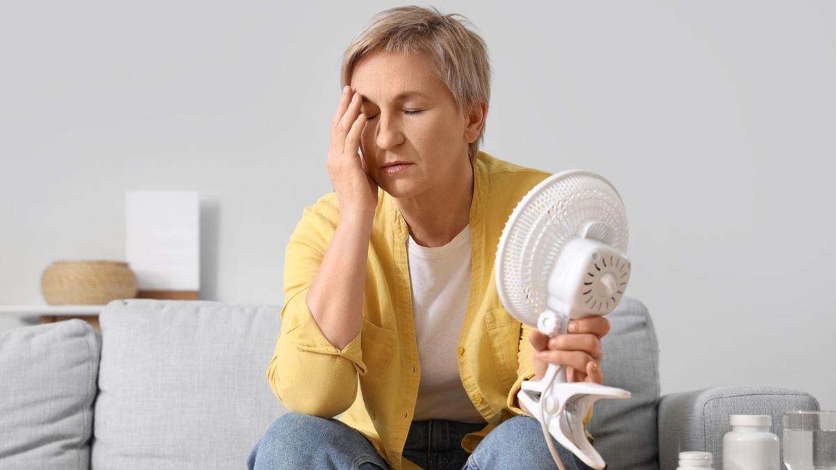 Perimenopause Hot Flashes And Brain Fog: Can Food And Ayurvedic Herbs Help?
