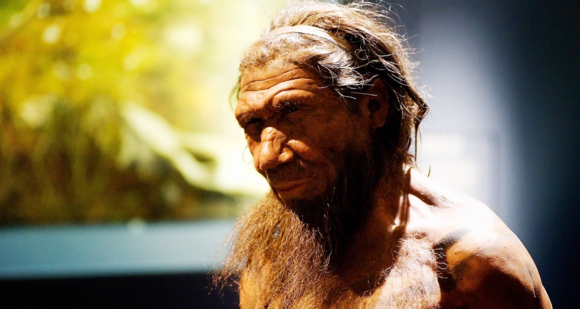 Archaeologists Uncover Unprecedented Evidence of Neanderthal Woodworking Skills : ScienceAlert