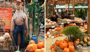 scarecrow festival / halloween events metro vancouver / harvest hollow