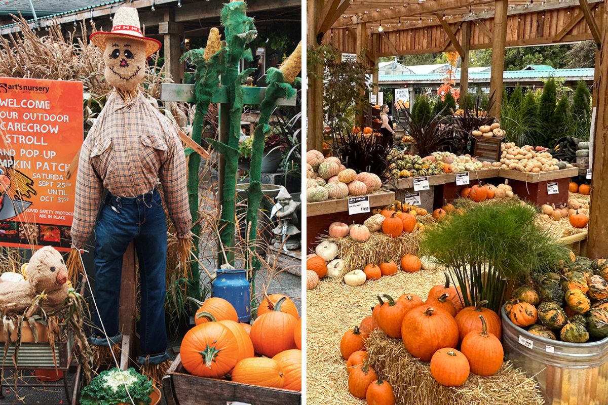 scarecrow festival / halloween events metro vancouver / harvest hollow