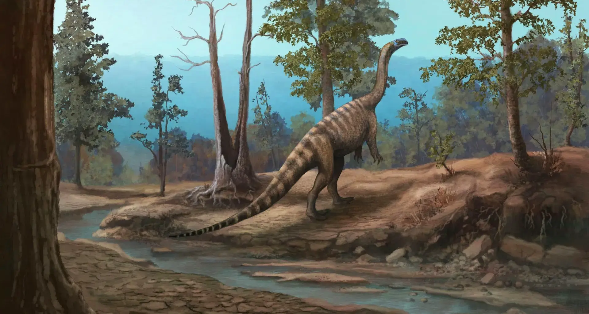 210-million-year-old dinosaur discovery reveals a lost world in Africa