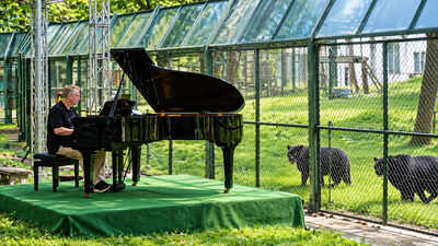 Rock legend Rick Wakeman played piano for 150 rescued moon bears in Vietnam; he now wants the last 125 bears still caged on bile farms moved to sanctuaries