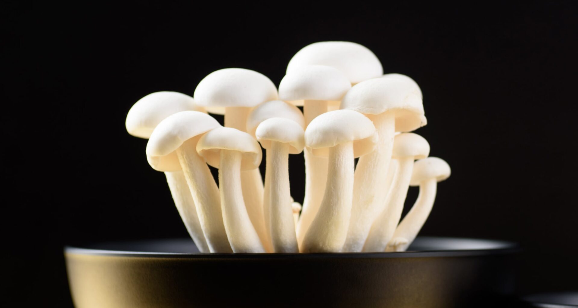 Adding 1 Mushroom-Derived Molecule to Salt Can Make It Taste 71% Saltier : ScienceAlert
