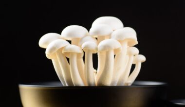 Adding 1 Mushroom-Derived Molecule to Salt Can Make It Taste 71% Saltier : ScienceAlert