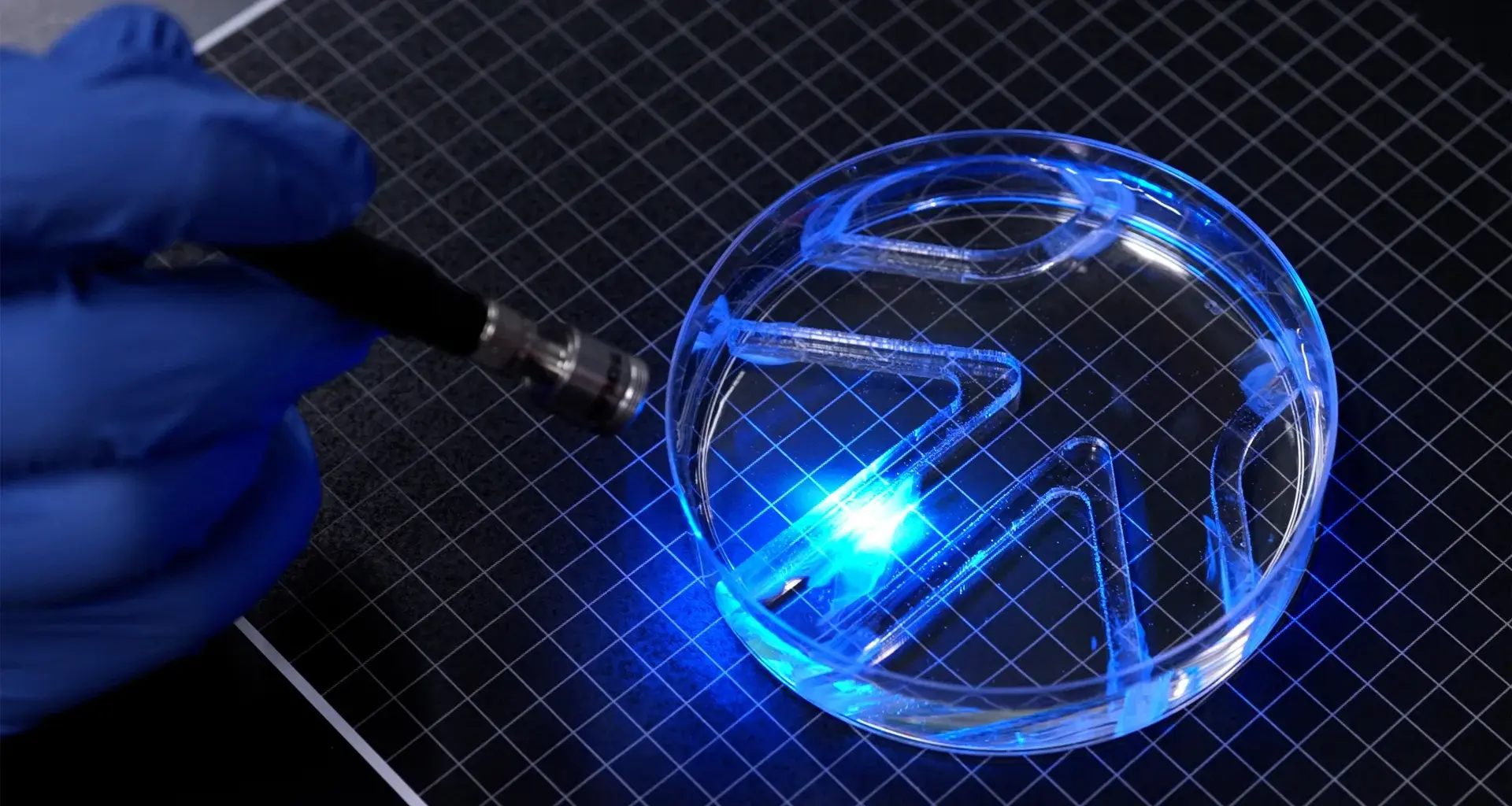 MIT scientists build a tiny robot that swims using living muscle cells